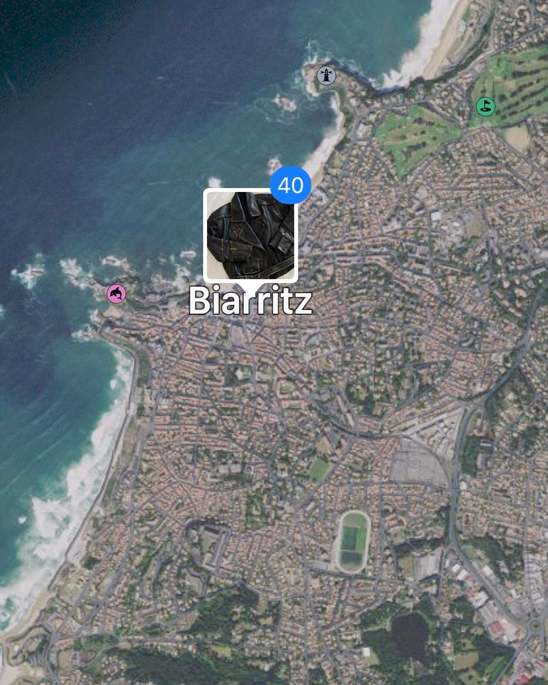 Biarritz leather jacket - rig vert